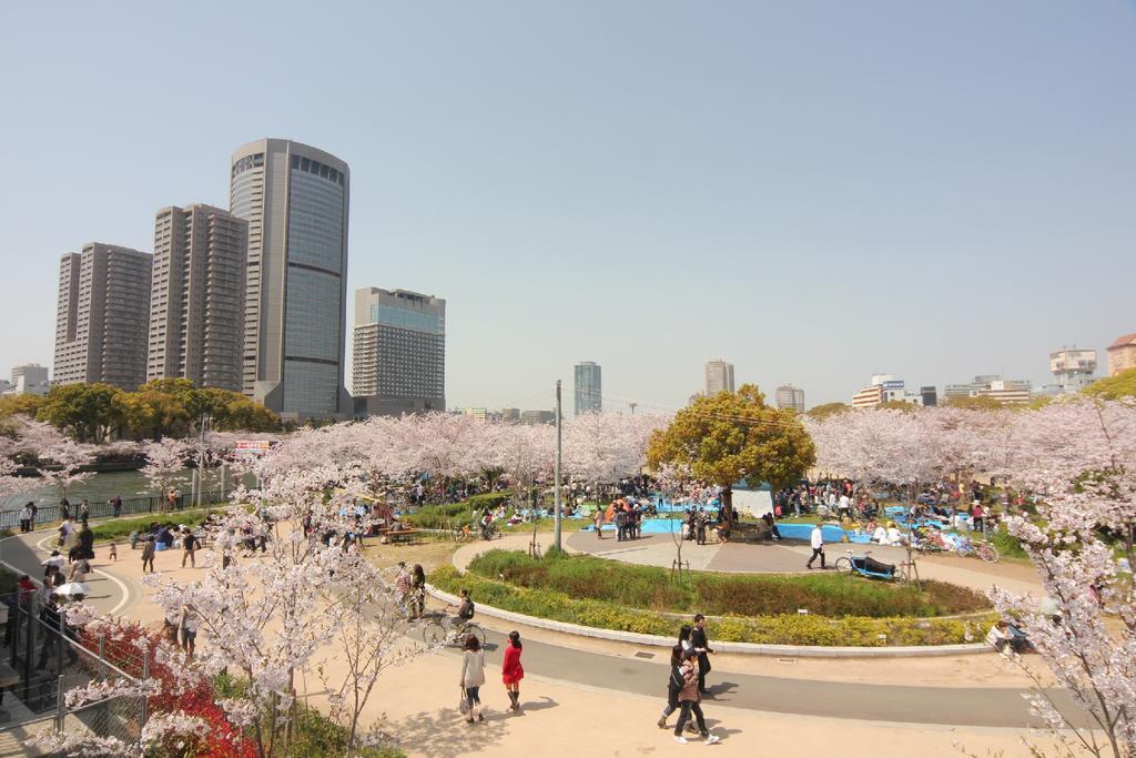 樱花花园酒店